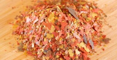 Alimentos para Bettas