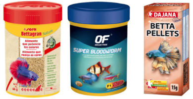 Alimentos para Betta