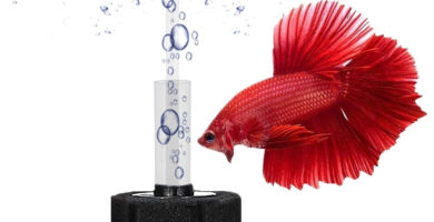 Filtro para Bettas